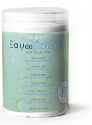 [190453] EAU DE COULEUR - MASQUE POST COLOR 1000ML